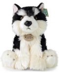 Jucărie de pluș Rappa Eco prietenii - Câine Malamute, 28 cm - 4t