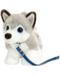 Jucărie de pluș Keel Toys Dog - Husky, cu lesă, 30 cm - 1t