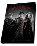Set cadou ABYstyle Movies: Harry Potter - Harry, Ron and Hermione - 6t