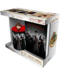 Set cadou ABYstyle Movies: Harry Potter - Harry, Ron and Hermione - 1t
