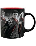 Set cadou ABYstyle Movies: Harry Potter - Harry, Ron and Hermione - 2t