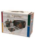 Set cadou ABYstyle Movies: Harry Potter - Stand Together - 5t