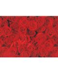 Hartie de impachetat cadouri Susy Card - Trandafiri roz, 70 x 200 cm - 1t