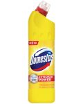 Detergent Domestos - Citrus, 750 ml - 1t