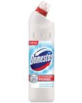 Detergent Domestos - White, 750 ml - 1t