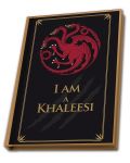 Set cadou ABYstyle Television: Game of Thrones - Targaryen - 5t