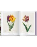 Redoute. The Book of Flowers (40th Edition) - 7t