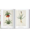 Redoute. The Book of Flowers (40th Edition) - 3t