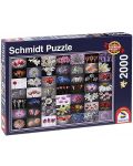 Puzzle Schmidt de 2000 piese - Salut colorat - 1t