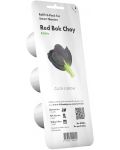 Semințe Click and Grow - Red Bok Pak Choy, 3 rezerve - 1t