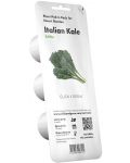 Semințe Click and Grow - Italian Kale, 3 rezerve - 1t