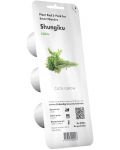 Semințe  Click and Grow - Salata de crizanteme Shungiku, 3 rezerve - 1t