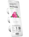 Semințe Click and Grow - Pink petunia, 3 rezerve - 1t