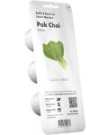 Semințe Click and Grow - Bok Pak Choi, 3 rezerve - 1t