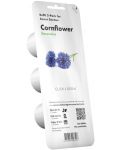 Semințe Click and Grow - Cornflower, 3 rezerve - 1t