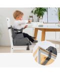 Scaun de masă portabil pliabil Reer - Growing - 3t