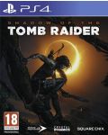 Shadow of the Tomb Raider (PS4) - 1t