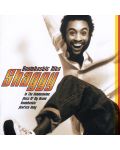 Shaggy - Boombastic Hits (CD) - 1t