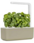 Smart ghiveci Click and Grow - Smart Garden 3, 8 W, bej - 2t