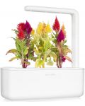 Smart ghiveci Click and Grow - Smart Garden 3, 8W, alb - 5t