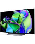 LG Smart TV - OLED48C31LA, 48'', OLED, 4K, gri - 2t