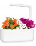 Smart ghiveci Click and Grow - Smart Garden 3, 8W, alb - 4t