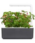 Smart ghiveci Click and Grow - Smart Garden 3, 8 W, gri - 2t