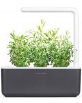 Smart ghiveci Click and Grow - Smart Garden 3, 8 W, gri - 8t