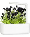 Smart ghiveci Click and Grow - Smart Garden 3, 8W, alb - 3t