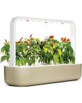 Smart ghiveci Click and Grow - Smart Garden 9, 13 W, bej - 2t