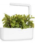 Smart ghiveci Click and Grow - Smart Garden 3, 8W, alb - 6t