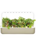 Smart ghiveci Click and Grow - Smart Garden 9, 13 W, bej - 1t