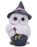 Statuetă Nemesis Now Adult: Gothic - Owl Potion, 17 cm - 1t