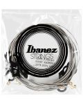 Ibanez Electric Guitar Strings - IEGS71, 10-59, argint - 1t