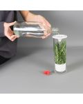 Recipient din sticlă pentru depozitarea condimentelor proaspete Veritable - 25,5 x 9,5 cm - 3t
