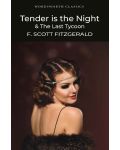Tender is the Night and The Last Tycoon - 2t