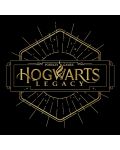 Tricou ABYstyle Movies: Harry Potter - Hogwarts Legacy - 2t