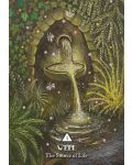 The Rooted Woman Oracle (A 53-Card Deck and Guidebook) - 2t