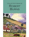 The Collected Poems of Robert Burns - 1t