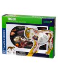 Set pentru copii Kosmos - Anatomia tigrului - 1t