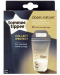 Set pungi pentru stocare lapte matern, Tommee Tippee - Closer to Nature, 350 ml, 36 buc. - 1t