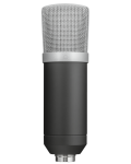 Microfon Trust - GXT 252 Emita Streaming - 5t