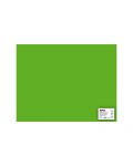 Carton APLI - Verde iarba, 50 x 65 cm - 1t