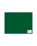 Carton APLI - Verde inchis, 50 х 65 cm - 1t