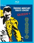 Various Artists- Freddie Mercury Tribute Concert (Blu-Ray) - 1t