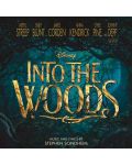 Various Artists- INTO The Woods (CD) - 1t