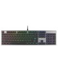 Tastatura mecanica Genesis - Thor 420 RGB, gri - 1t