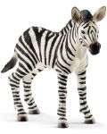 Figurina Schleich Wild Life - Pui de zebra - 1t