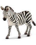 Figurina Schleich Wild Life - Femela zebra - 1t