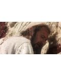 Life of Brian (Blu-ray) - 6t
